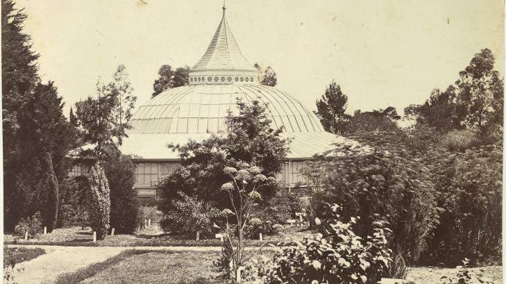 Melbourne University's system garden, circa 1870. The top of the conservatory tower can be seen above the domed roof. Photo: State Library of Victoria