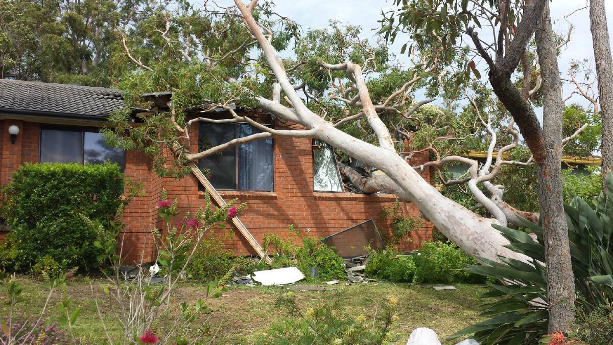 Wild winds caused this tree to fall into a home in Dawn Crescent, Mt Riverview. Photo: Top Notch Video.