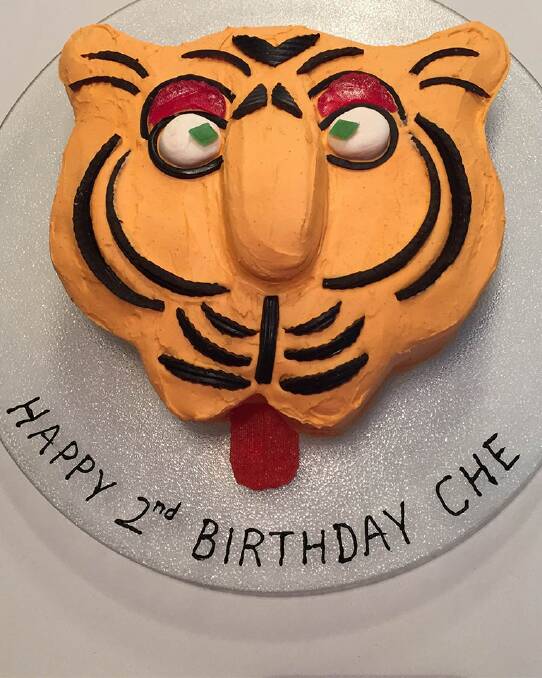 Tiger cake.