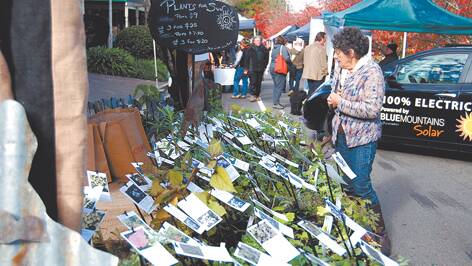 Leura Harvest Festival goes off without a hitch