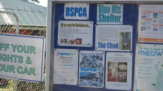 The exterior of the doomed RSPCA shelter in Mort St, Katoomba.
