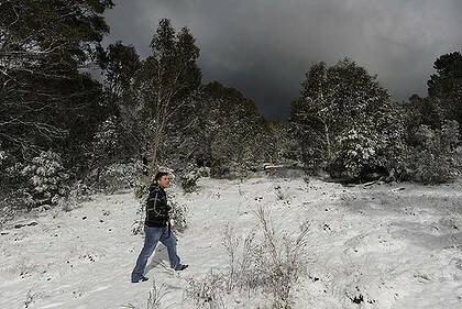 Cold snap ... snow began to fall at Bulls Head in Namadgi National Park on Wednesday.