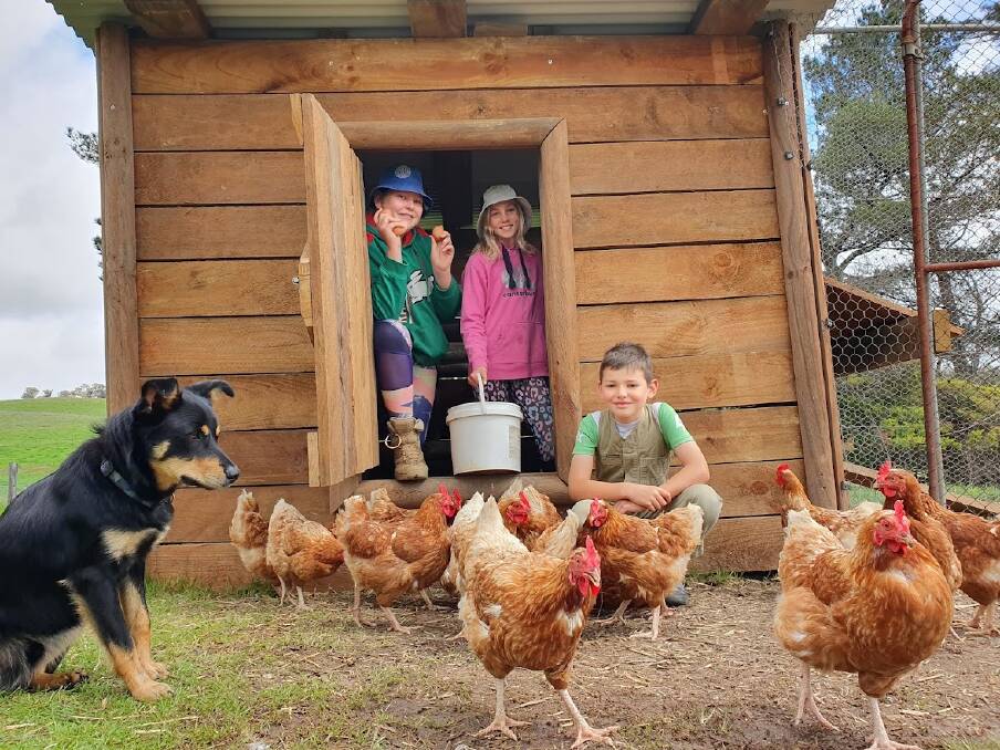 Sami, Anna and Tom Seaman have set up Woolly Bull Produce - a free range egg supply farming operation.