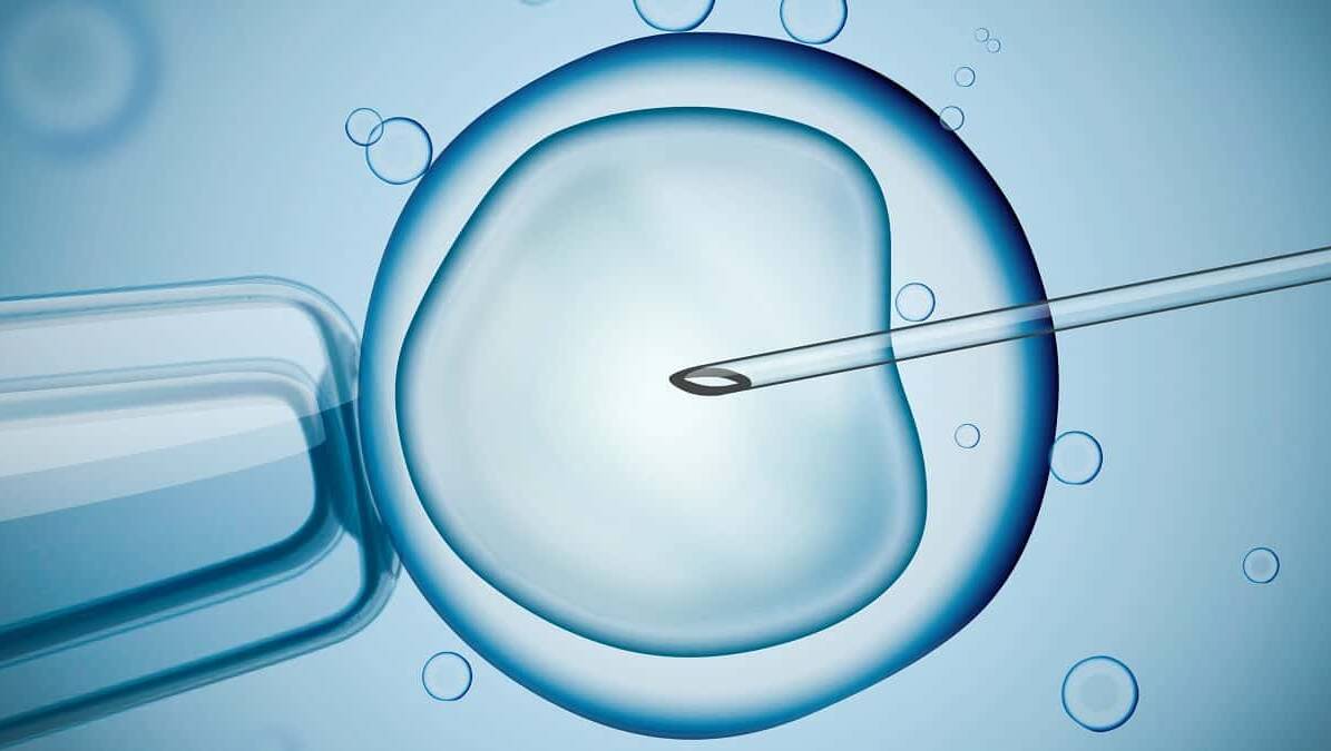 IVF: Success rates of women under 30, over 35 revealed | Blue Mountains Gazette