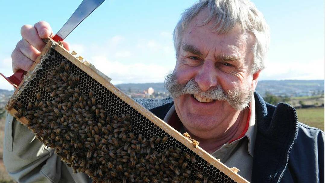 BEST: Lindsay Bourke's honey has been titles the best in the world. Picture: File