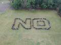 Students arrange themselves on Katoomba High School's oval to say 'NO' to violence. Picture supplied