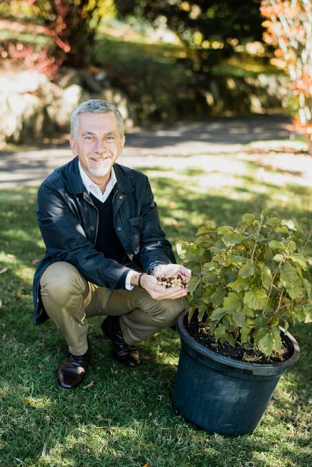  Claudio Cavallini, General Manager, Agri Australis, seated alongside the gifted hazelnut tree. 