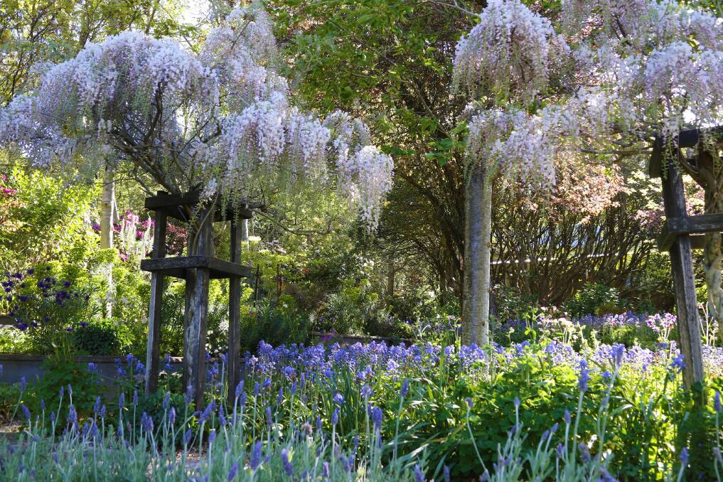 Karoola is one of the stunning gardens on display in all its Spring glory as part of the festival. Picture supplied