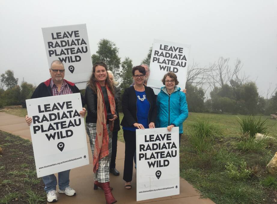 Trish Doyle and Penny Sharpe with members of the Blue Mountains Conservation Society in the mist at Cahills Lookout in Katoomba.
