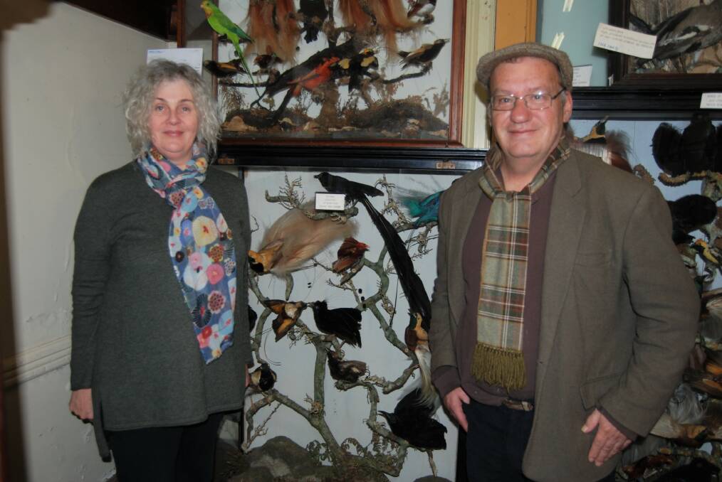 Exhibition curator Miriam Williamson with Tim K. Jones, president of the Mt Victoria and district Historical Society in front of one of the bird displays at the Mt Vic museum.