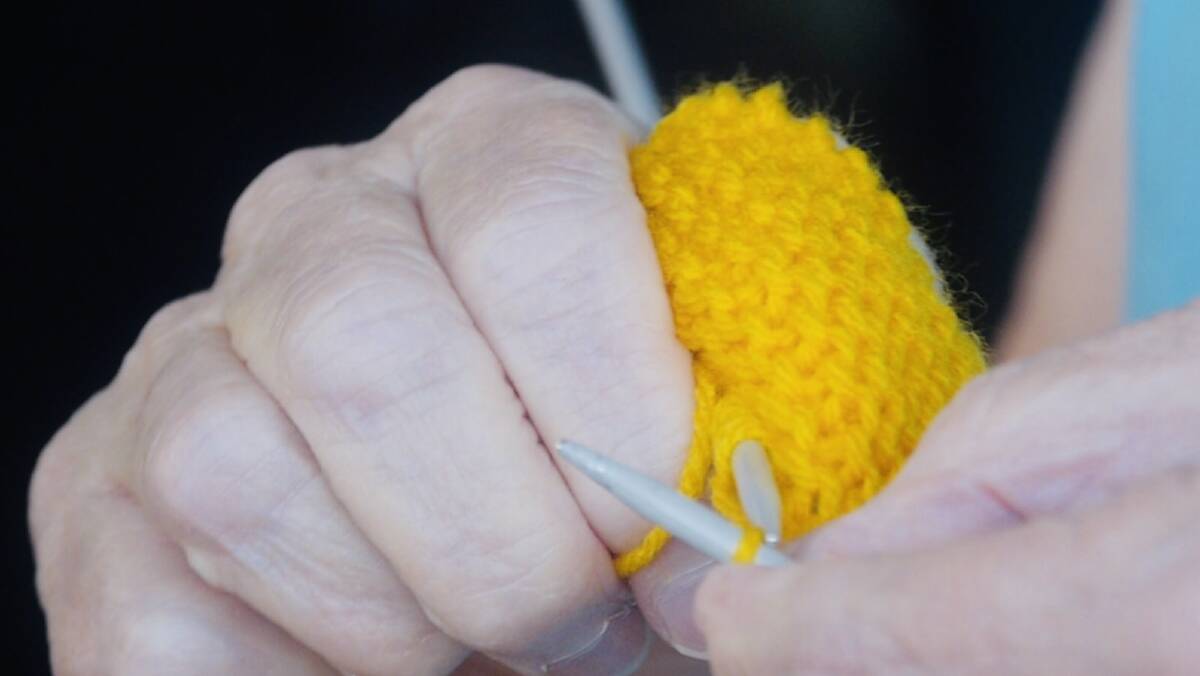 Knitting Nannas by Rani Brown: Local artist captures images of environmental activism.