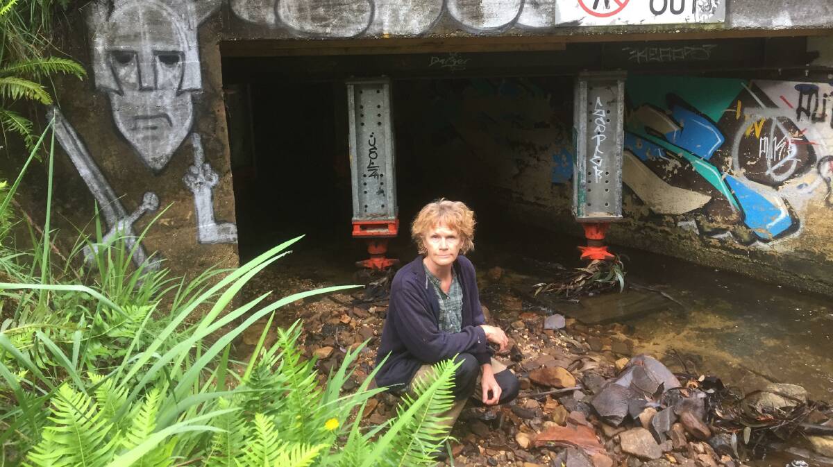 Cr Kerry Brown: Pictured at the entrance to Leura Cascades culvert. She believes council should spend more on maintaining assets including drains and roads.