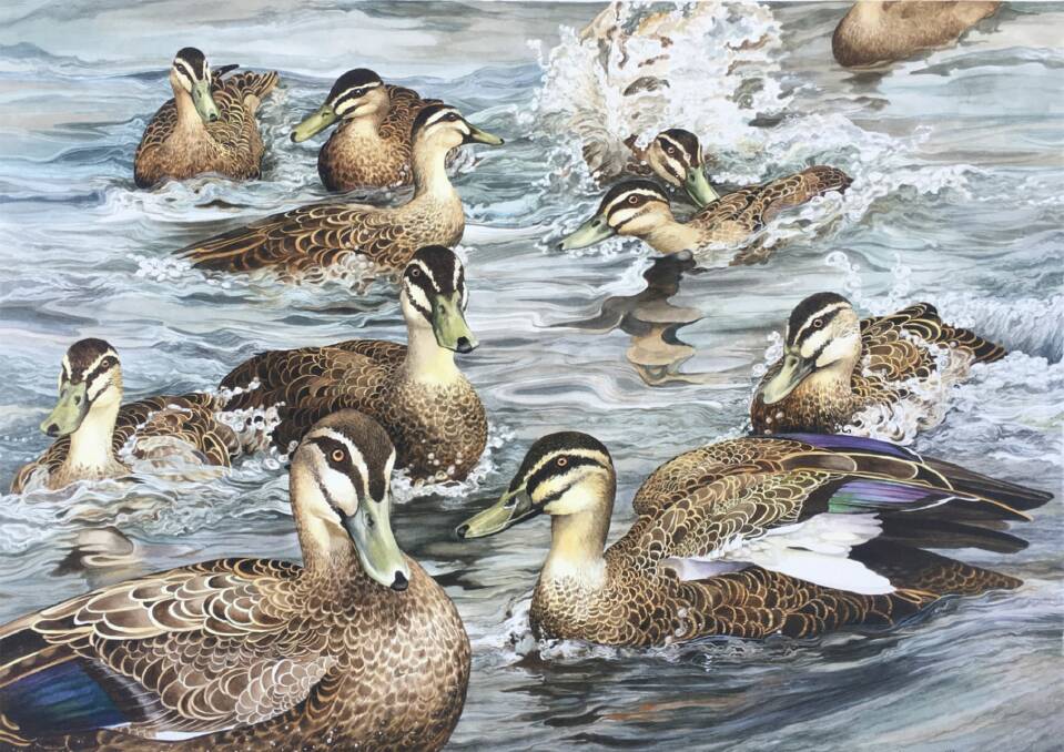 Jane Stapleford watercolour: Late afternoon, Blackheath duck pond.