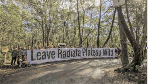 Keep it wild: Campaign to save Radiata Plateau.