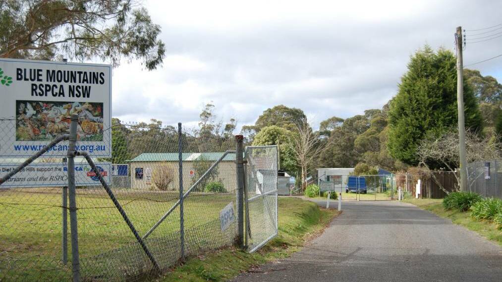 Katoomba RSPCA shelter: Temporarily closed because of staff shortages.