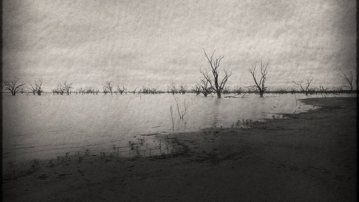 Tracy Ponich - Just before the fish die Menindee Lakes