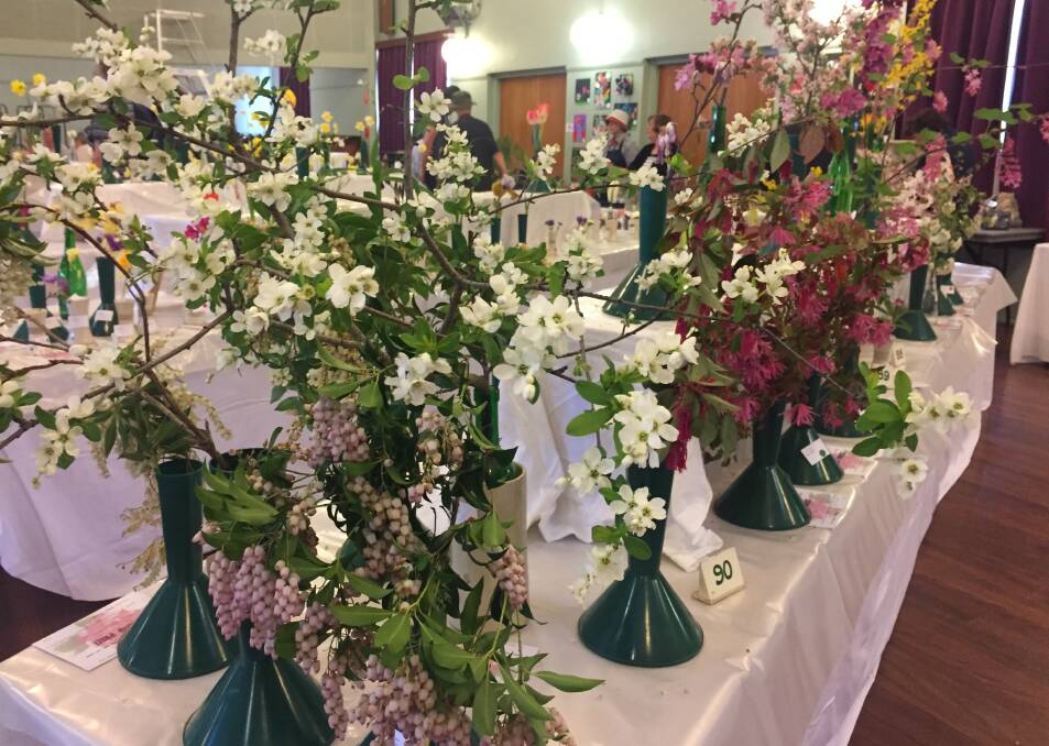Blossoms aplenty at the flower and craft show in Blackheath