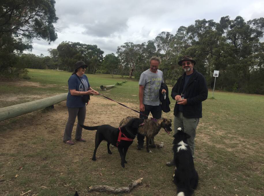 Dogs rule OK: Siobhan O'Beirne, Alexander Pochukaev and Robert Linigen and pooches at the old Lawson Golf Course, which has proved an enormously popular off-leash area.