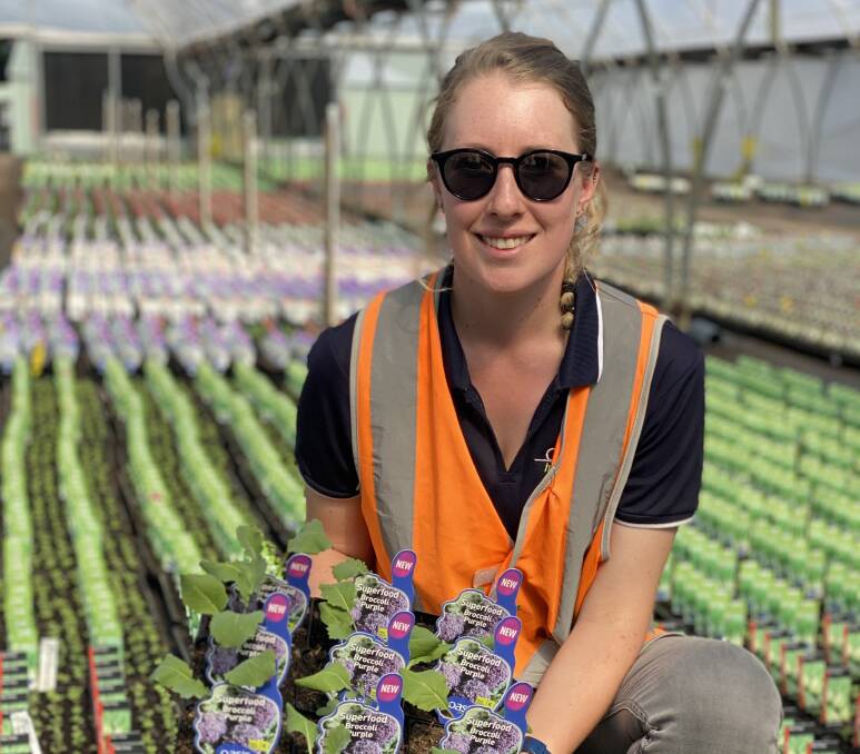 Isabelle Hamilton: Assistant seedling grower at Oasis Horticulture in Yellow Rock.