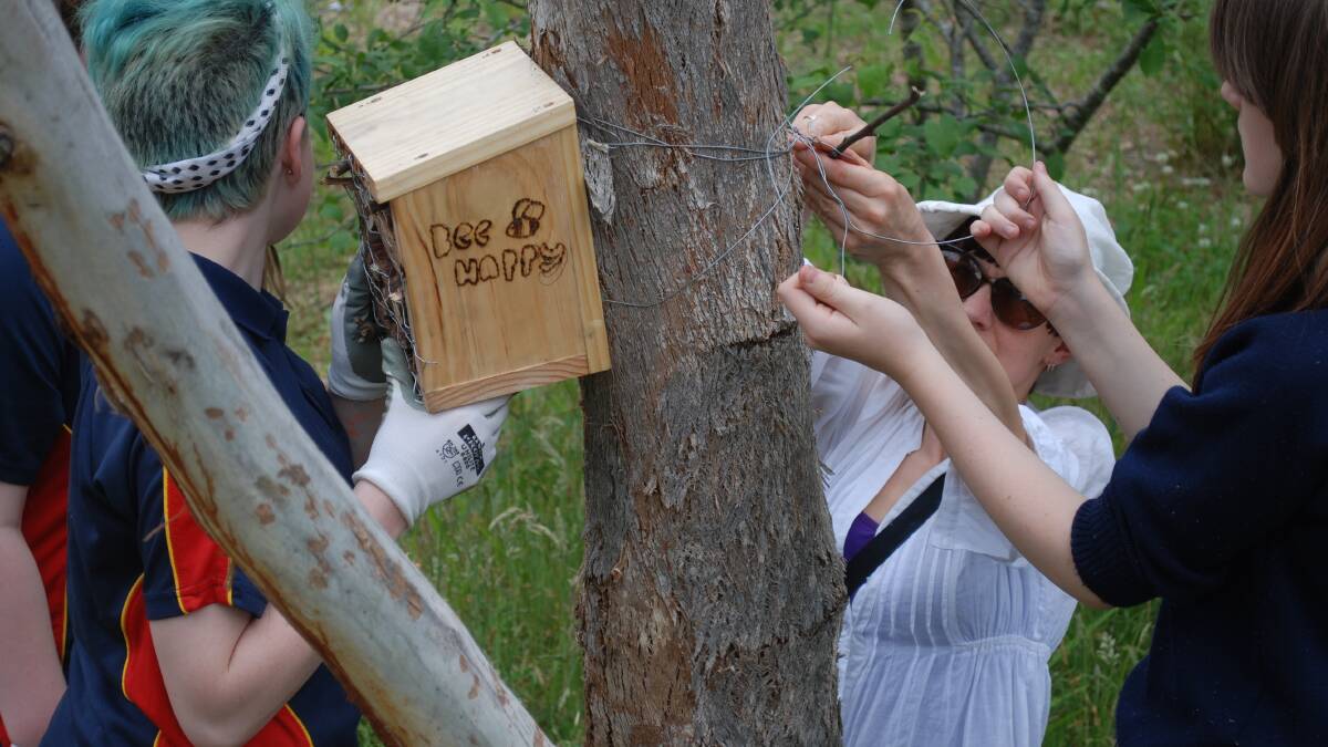 Parent and volunteer Vikki Willmott-Sharp attaches one of the bee hotels to a tree.