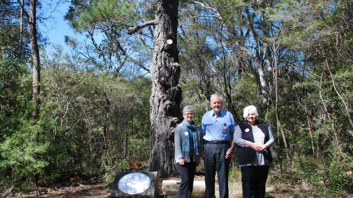 Lone Pine Peace Park: Tom Colless from Rotary (centre) with Sue Roden and Patricia Carr from Red Cross Springwood branch in front of the original pine tree.