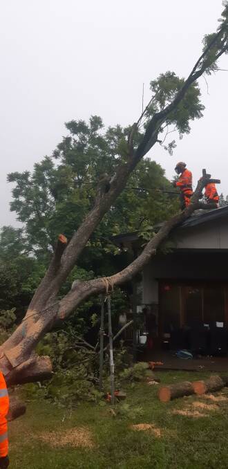 SES volunteers work to remove a tree on a house at Springwood.