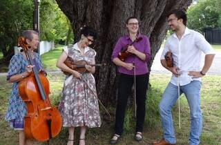 Kanimbla Quartet: Starts the season at Blackheath.