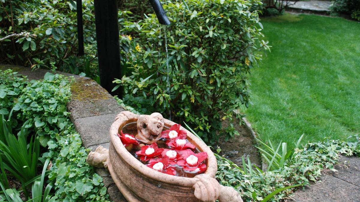 A bowl of tinsie camellias.