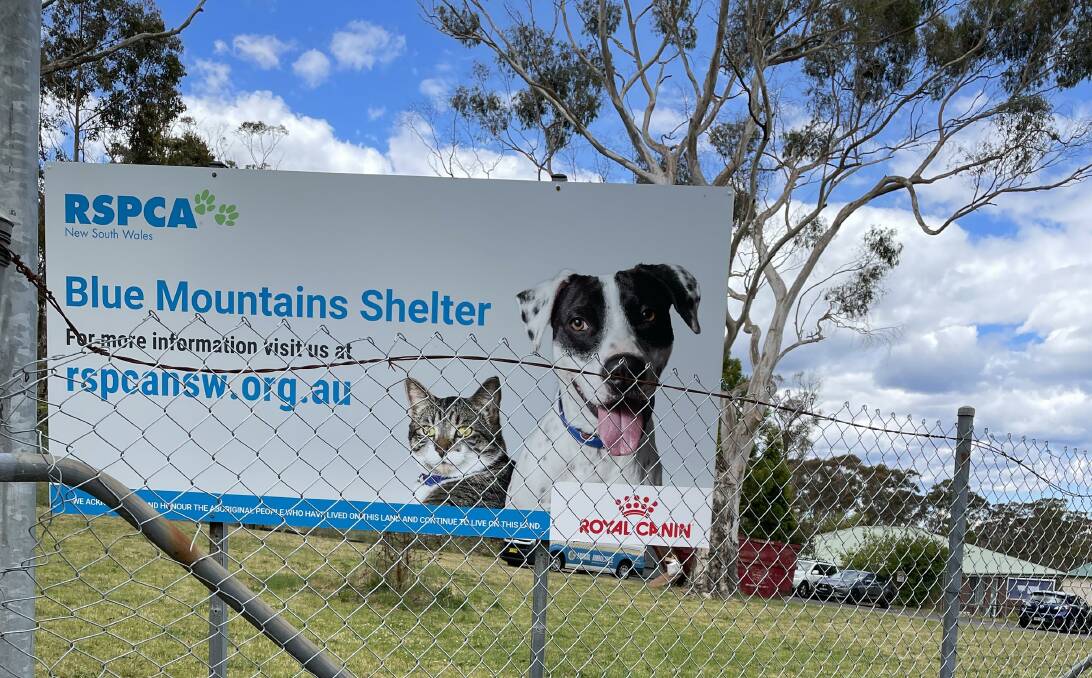 Site of the animal shelter at Katoomba, now transferred from the RSPCA to Blue Mountains council. File picture