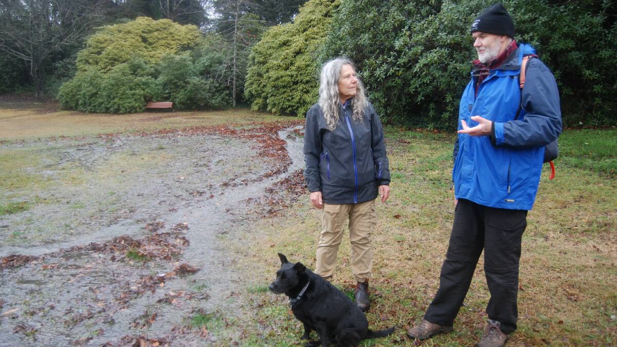 Concerned residents Eva Johnstone, a landscape architect, and Paul Vale, from Popes Glen Bushcare group, in Blackheath Memorial Park where the stormwater overflows the drain. 
