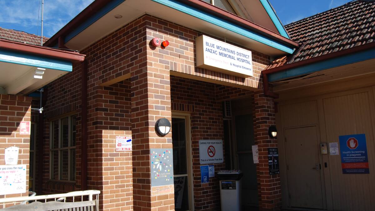 Council backs new Blue Mountains hospital bid