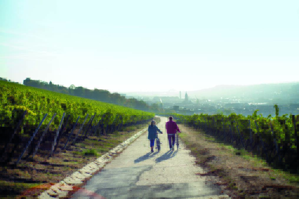 Perfect vista: Strolling through a vineyard near Germany’s Wurzburg.