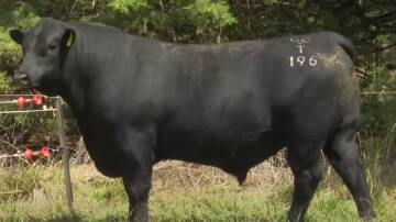 Top selling Dulverton Think Big T196 came with a power of figures to prove his easy-doing abilities. Photo supplied.