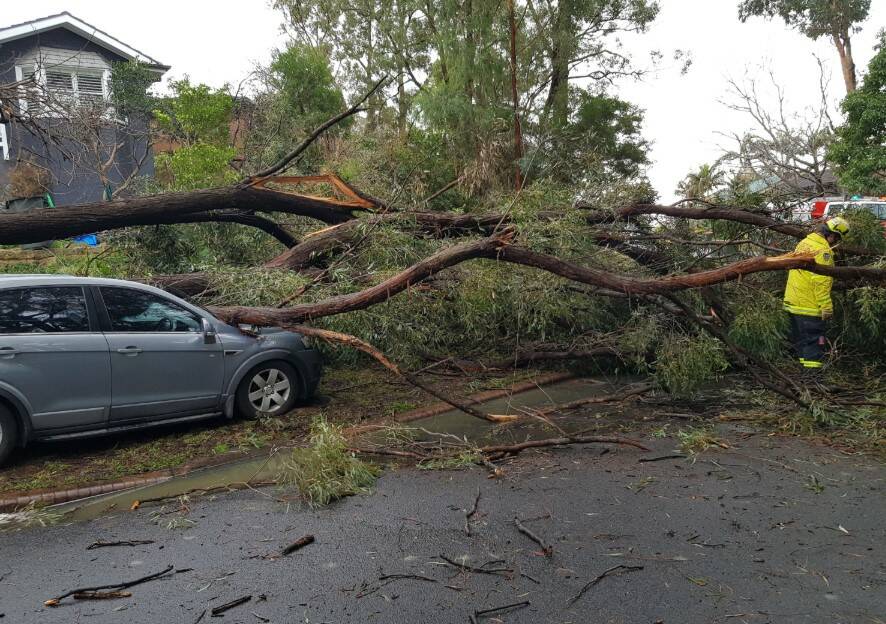 Smashed: A tree came down across a car in Darwin Drive, Lapstone, during heavy rain on Sunday and Monday. Photo: Fire and Rescue NSW Glenbrook