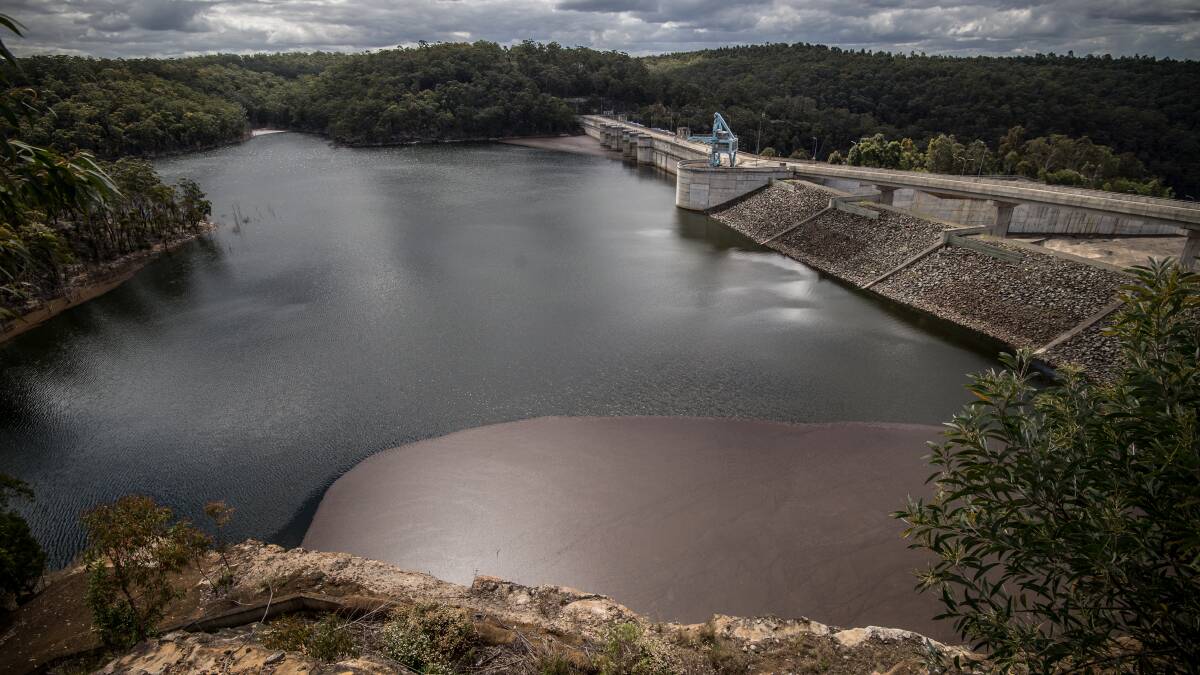 Warragamba Dam raising will damage threatened species: Activists say the world heritage status of the Blue Mountains should not be put at risk for the sake of floodplain over-development. Photo: Wolter Peeters.