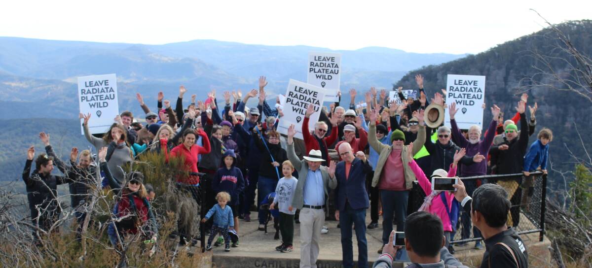Long-standing campaign: A 2017 rally at Cahills Lookout in Katoomba to protect Radiata Plateau. Sitting on the southern escarpment, the plateau is the last remaining undeveloped peninsula-plateau in the Upper Blue Mountains. Photo: Robert Linigen