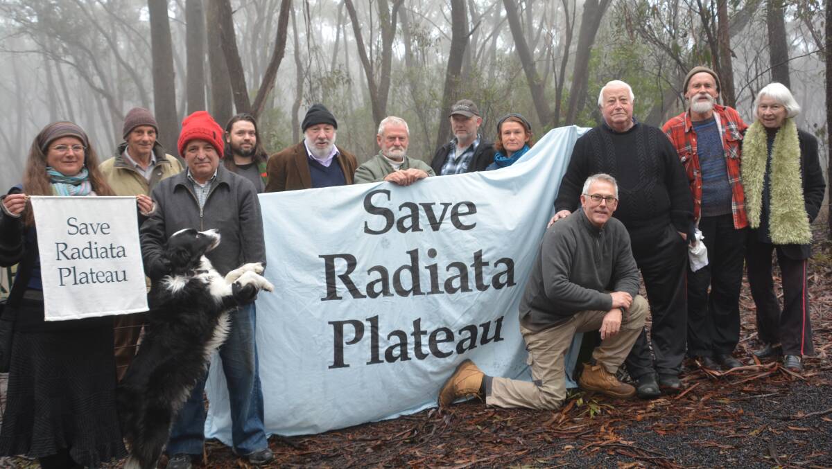 Flashback: Residents and Blue Mountains Conservation Society members at Radiata Plateau back in August 2016, concerned about the development.