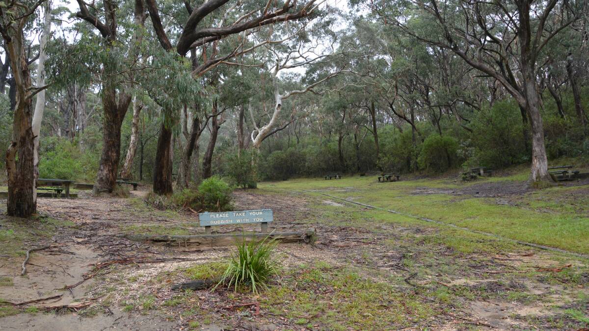 Peaceful paradise: The picnic ground at Govetts Leap where an idea has been floated to build several chalets.