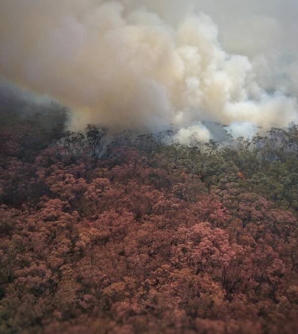 Being controlled: The Browns Ridge fire in the Grose Valley, about 9km north of Faulconbridge. Photo: NSW RFS Facebook