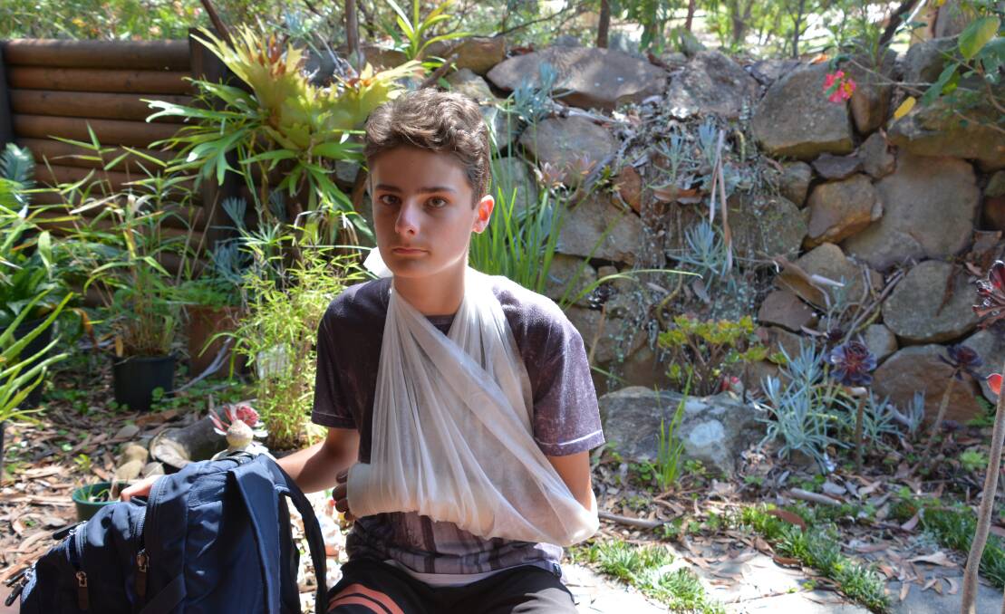 Big scare: Sebastian Boucher was bitten by a snake in the garden, then while he was being treated in hospital his iPad was stolen from his schoolbag.