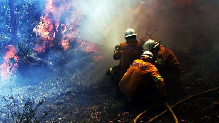 Firefighters fight a battle with a firey beast at the back of Crane St, Springwood, during the 2013 bush fires. Photo: Sean Davey.
