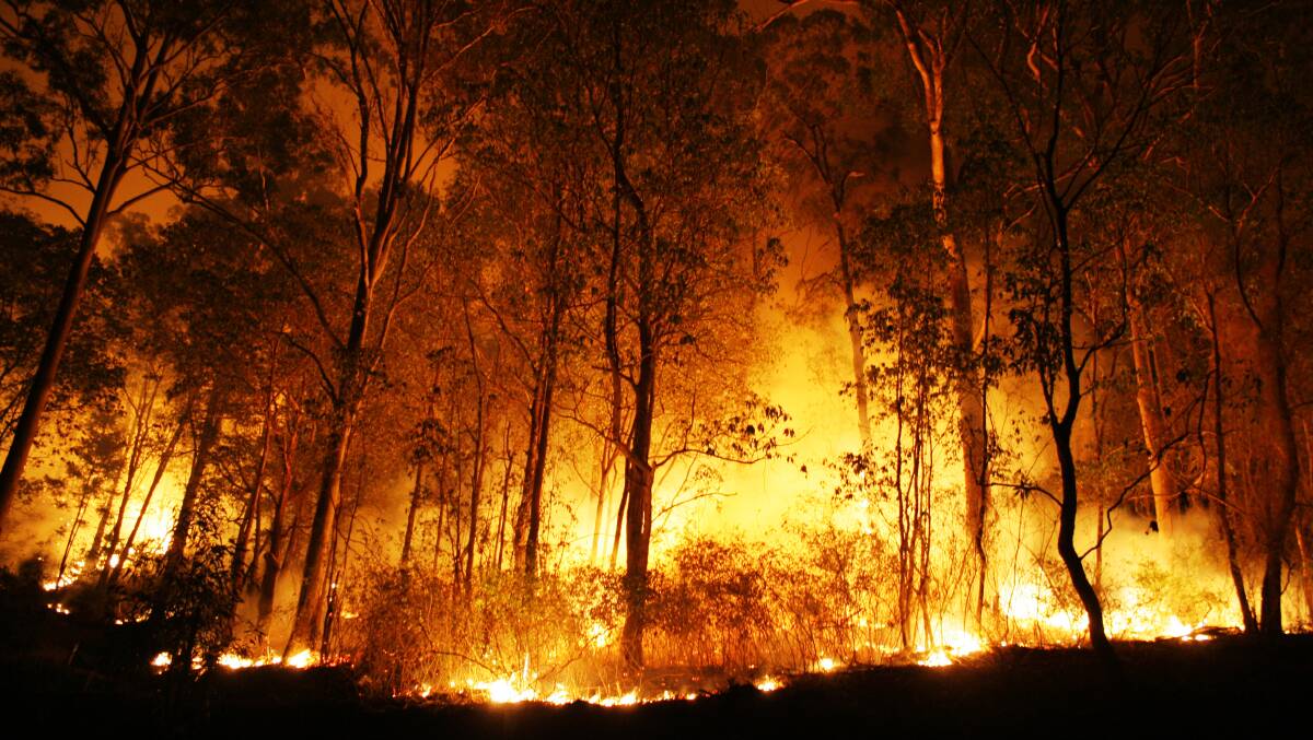 What's your plan: Having a Bush Fire Survival Plan will help you avoid making last minute decisions that could be deadly.