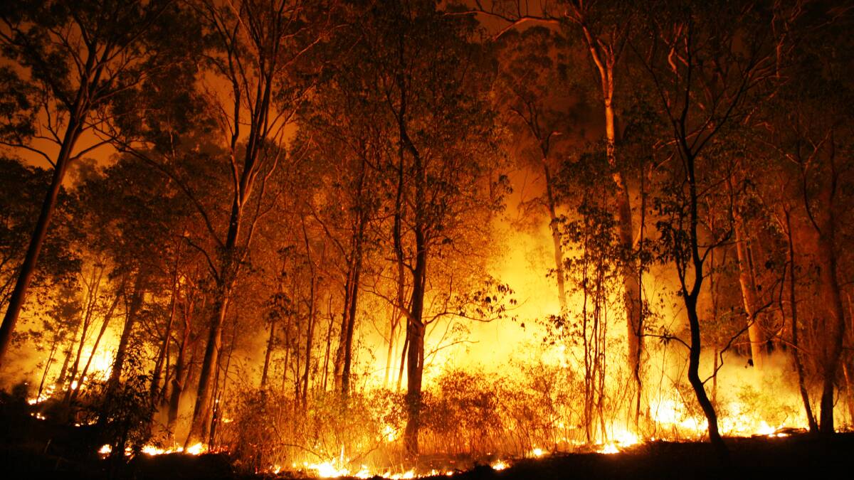 Bushfire survival plan