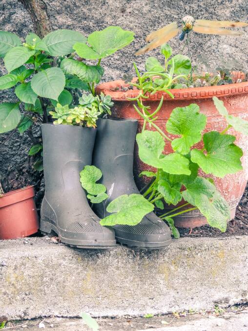 NEW HOME: Give your family's pre-loved gumboots a new lease on life. 