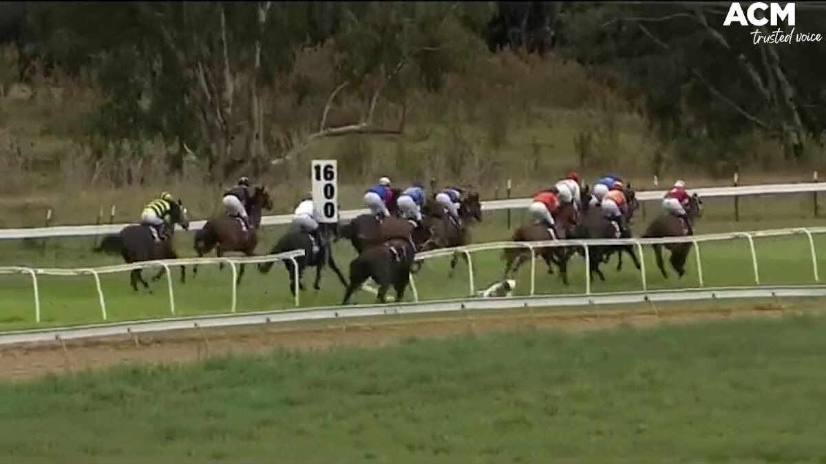 Horse and jockey end up inside the running rail.