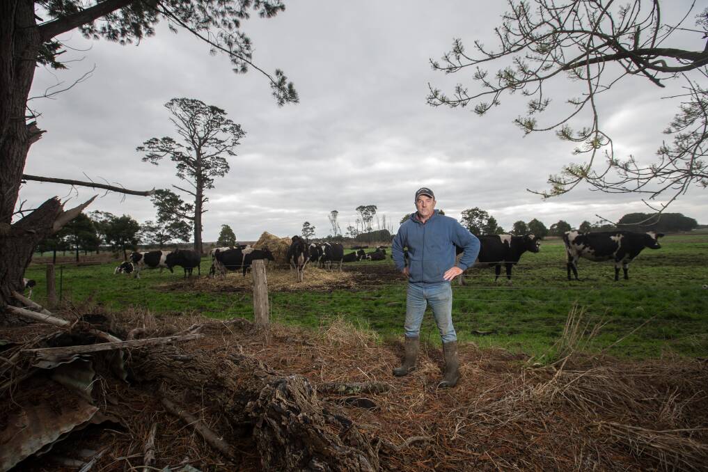 Costly: Wayne Johnstone says it will take at least two years for his pasture, stock and business to recover from the St Patrick's Day fires. Picture: Christine Ansorge
