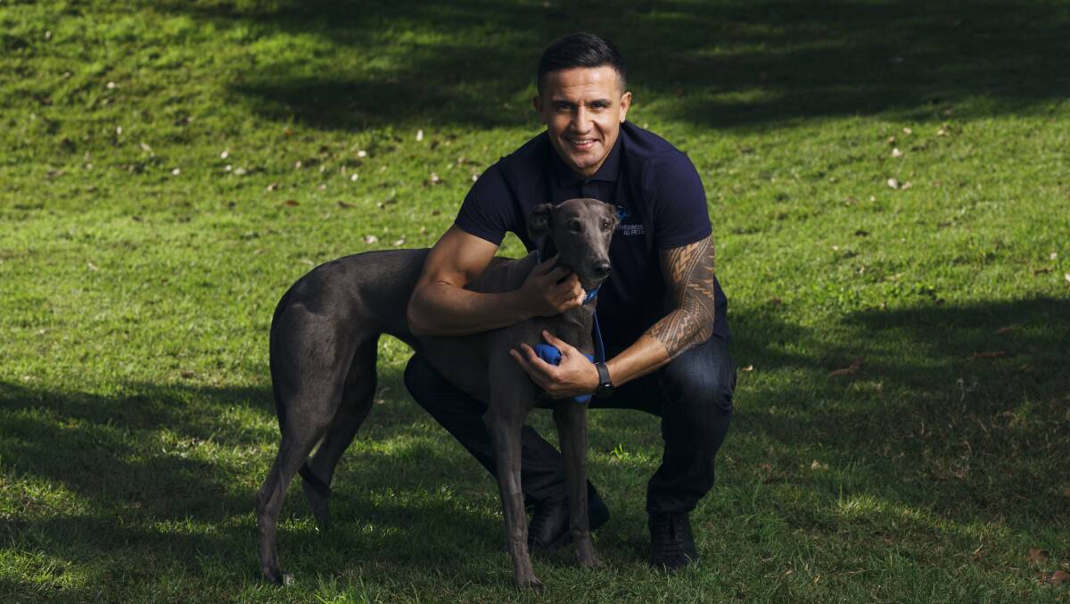 Former professional footballer Tim Cahill with his greyhound Luna Moana nicknamed Lumo. Tim is the new ambassador for Greyhounds As Pets NSW. Photo: James Brickwood. 