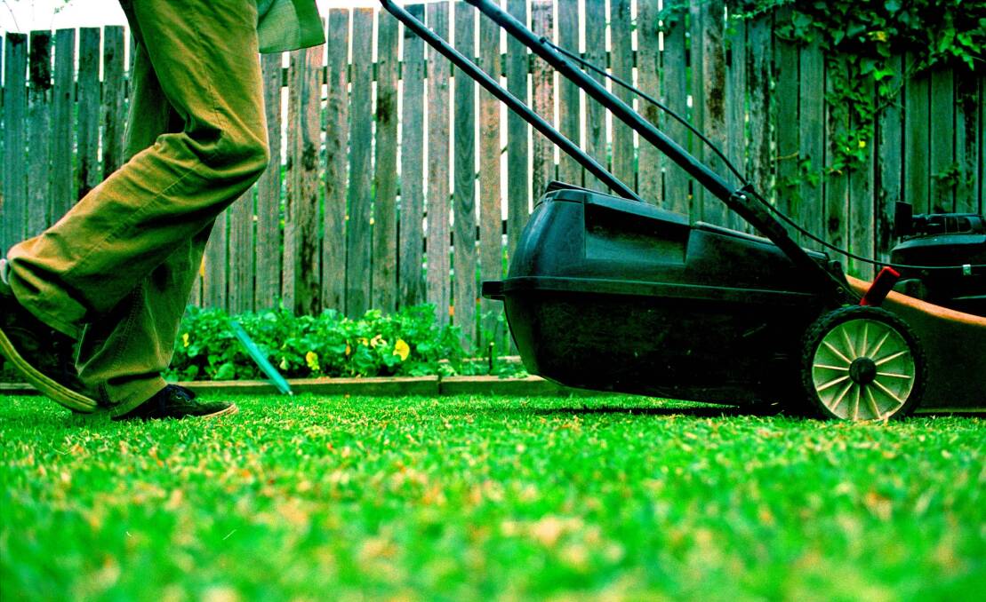 The Nepean Blue Mountains Local Health District has warned Upper Blue Mountains residents to take care when mowing the lawn to avoid contracting psittacosis, or "parrot fever".