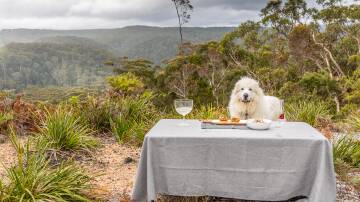 Blue Mountains canine, Kobe, has released his first cookbook.