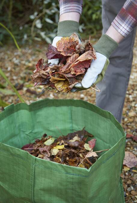 Sweet smell: A healthy, open air compost is a mixture of brown leaves ( carbon,) green material and lawn clippings (nitrogen).